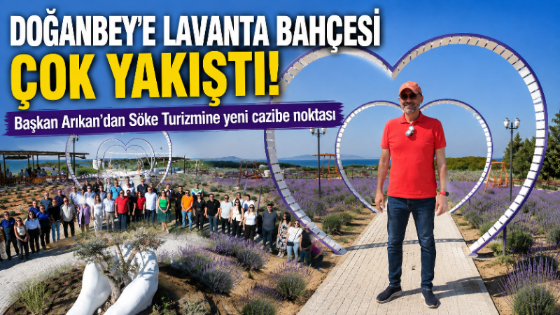 Söke Belediyesi tarafından Doğanbey Mahallesi’nde oluşturulan Lavanta Bahçesi’nde düzenleme çalışmaları