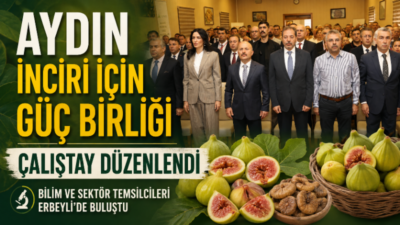 Aydın’ın dünyaca ünlü incirinin geliştirilmesi, katma değerinin artırılması ve uluslararası