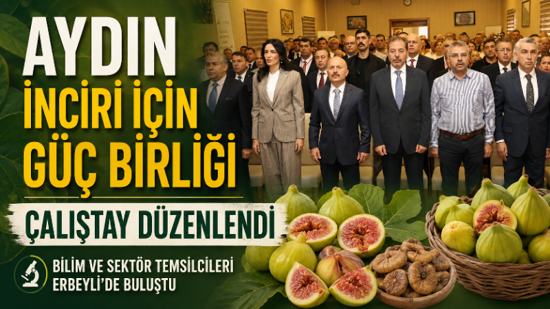 Aydın’ın dünyaca ünlü incirinin geliştirilmesi, katma değerinin artırılması ve uluslararası