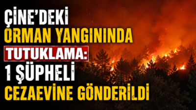 Aydın’ın Çine ilçesinde günlerce süren ve binlerce hektarlık alanın zarar