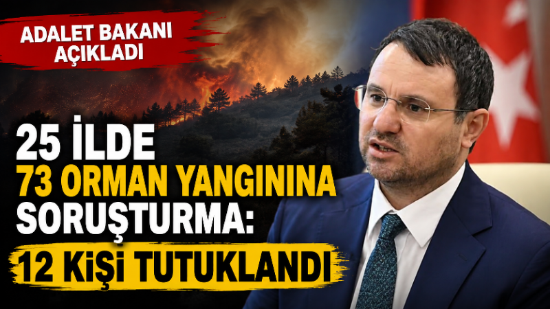 Türkiye genelinde son aylarda meydana gelen orman yangınlarıyla ilgili yürütülen