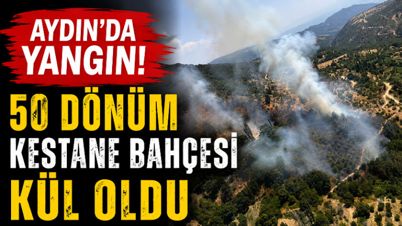 Kuyucak ilçesinde tarım arazisinde yangın çıktı. Alevler havadan ve karadan