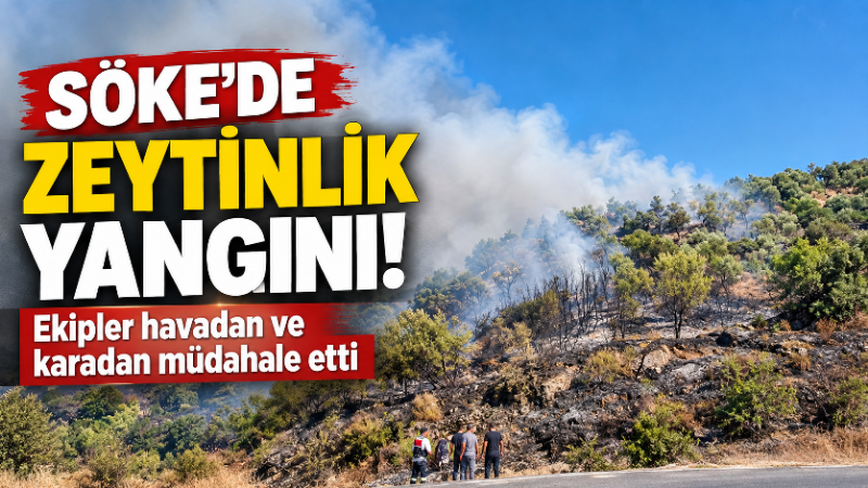 Aydın’ın Söke ilçesinde zeytinlik ve makilik alanda çıkan yangın, ekiplerin