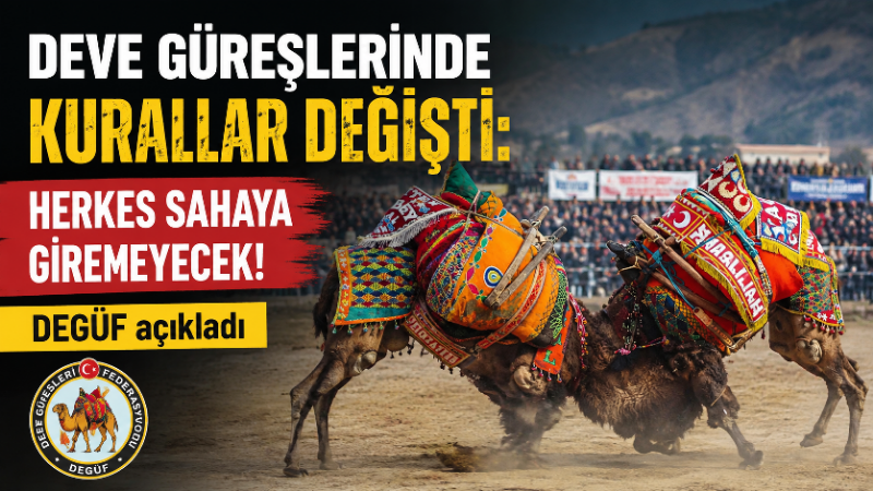 Deve güreşlerinde kurallar değişti: Herkes sahaya giremeyecek! Deve Güreşi Federasyonu (DEGÜF), 2026-2027 deve güreşi sezonu öncesinde uygulanacak