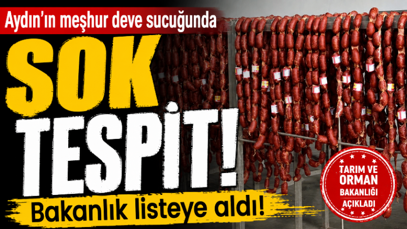 Tarım ve Orman Bakanlığı’nın güncellediği taklit ve tağşiş listesinde Aydın’dan