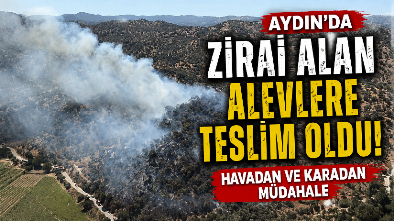 Aydın’ın Koçarlı ilçesinde zirai alanda çıkan yangın paniğe neden oldu.