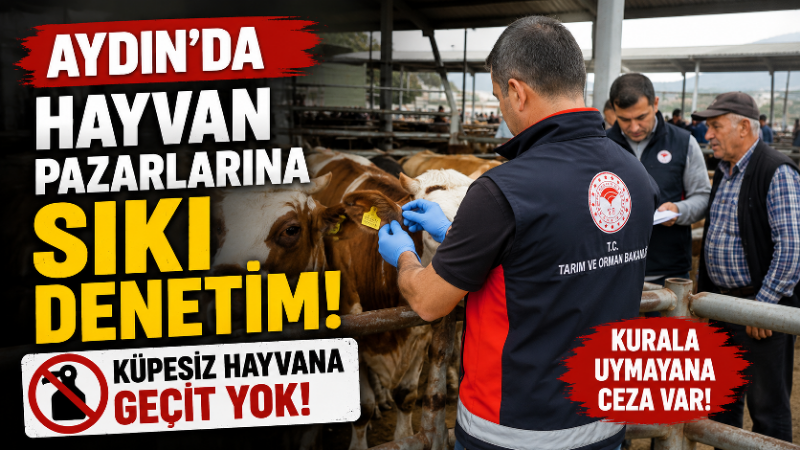 Aydın’ın Nazilli ve Çine ilçelerinde hayvan pazarları mercek altına alındı.