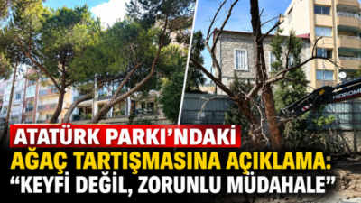 Atatürk Parkı’nda yürütülen yenileme çalışmaları kapsamında bazı ağaçlara müdahale edilmesi