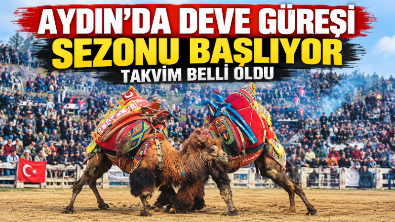 Devecilik Kültürü ve Deve Güreşleri Federasyonu (DEGÜF), 2026-2027 deve güreşi