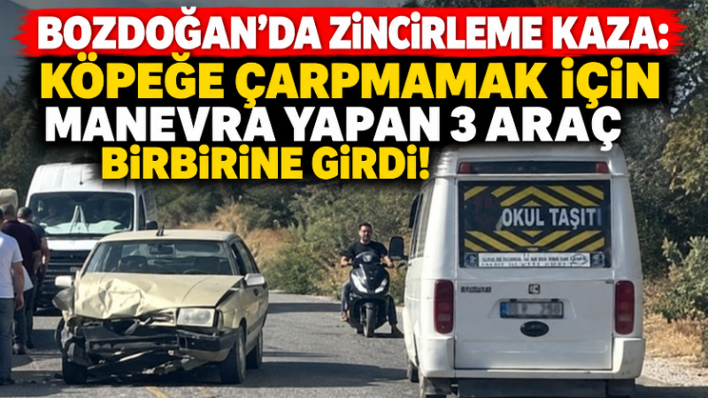 Aydın’ın Bozdoğan ilçesinde yola aniden çıktığı belirtilen köpek, zincirleme trafik