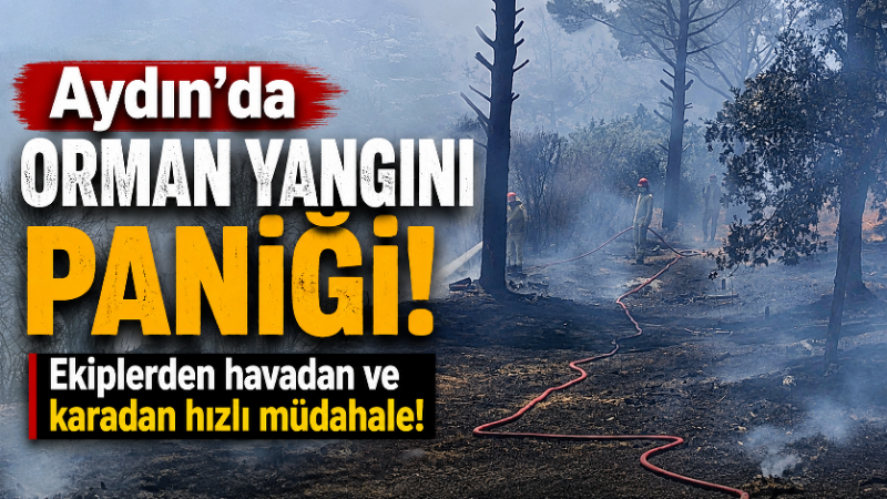 Aydın’ın Koçarlı ilçesinde ormanlık alanda çıkan yangın, ekiplerin havadan ve