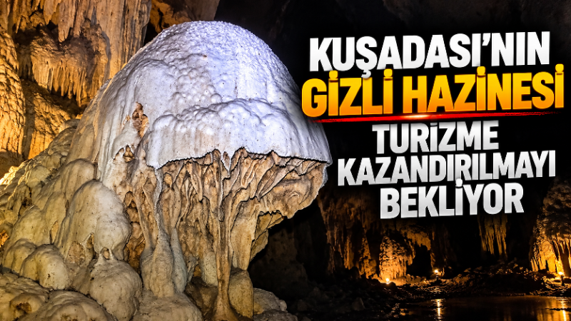 Aydın’ın Kuşadası ilçesinde bulunan ve içerisindeki aslanı andıran dikit nedeniyle