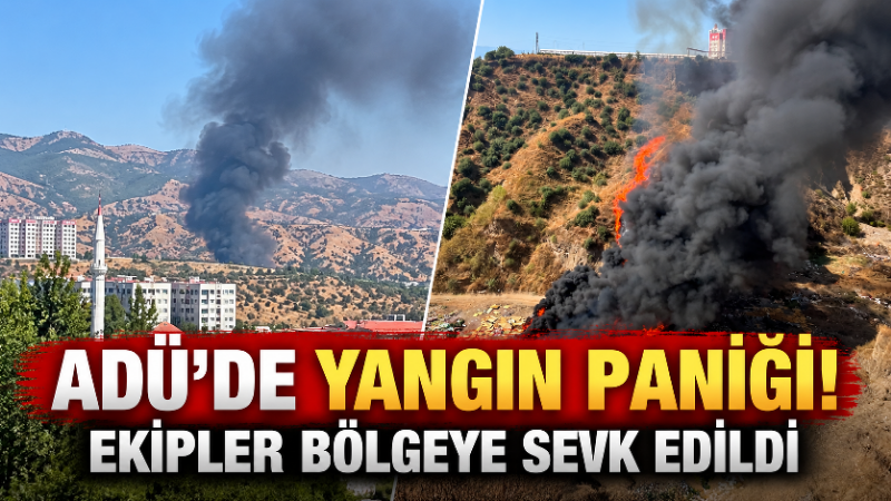 Aydın Adnan Menderes Üniversitesi yanındaki Zindanderesi mevkiinde saat 11.00 sıralarında