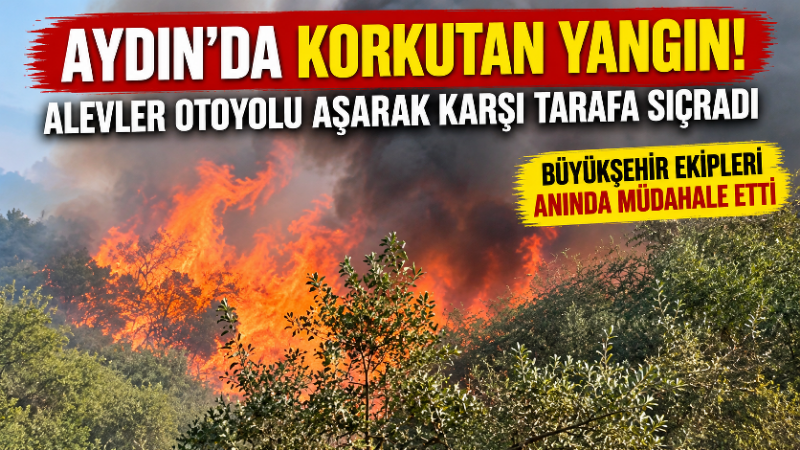 Aydın’ın Efeler ilçesinde zeytinlik alanda çıkan yangın, rüzgâr ve kuru