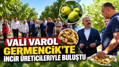 Aydın Valisi Dr. Osman Varol, Germencik ilçesinde incir bahçesini ziyaret