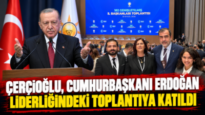Aydın Büyükşehir Belediye Başkanı Özlem Çerçioğlu, Cumhurbaşkanı Recep Tayyip Erdoğan