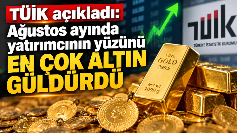 Türkiye İstatistik Kurumu (TÜİK), Ağustos 2026 dönemine ilişkin finansal yatırım
