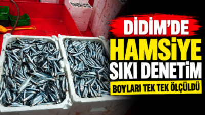 Aydın’ın Didim ilçesinde yeni av sezonuyla birlikte hamsi avcılığına yönelik