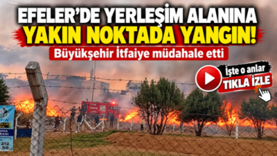 Aydın’ın Efeler ilçesine bağlı Ovaeymir Mahallesi’nde, otoban kenarında bulunan otluk