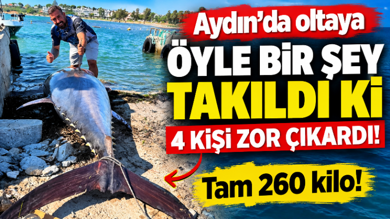 Aydın’ın Didim ilçesinde denize açılan 4 amatör balıkçı, hayatlarının avına