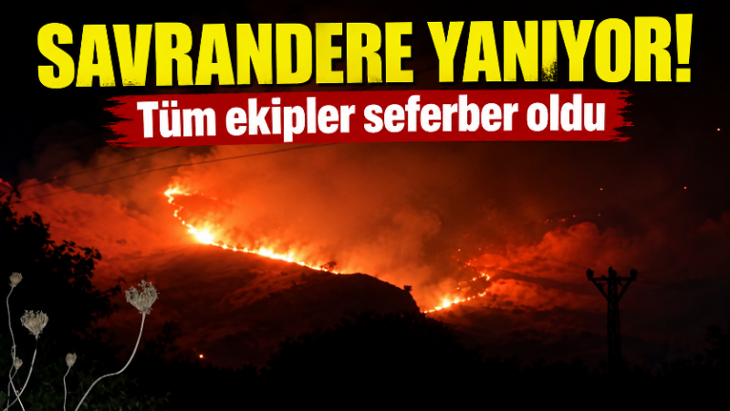 Aydın’ın Efeler ilçesinde tarım arazisinde çıkan yangın rüzgarın etkisiyle yayıldı