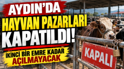 Aydın’da şap hastalığına karşı tedbir amacıyla il genelindeki hayvan pazarlarının