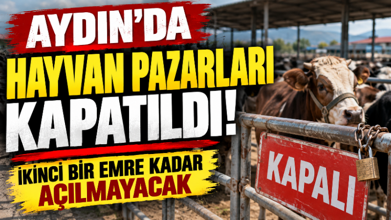 Aydın’da şap hastalığına karşı tedbir amacıyla il genelindeki hayvan pazarlarının