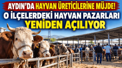 Aydın’da şap hastalığı nedeniyle bir süredir kapalı bulunan hayvan pazarlarından