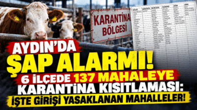 Aydın’da hayvancılığı tehdit eden şap hastalığı nedeniyle geniş kapsamlı kısıtlama