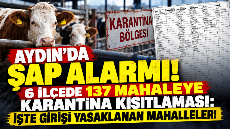 Aydın’da hayvancılığı tehdit eden şap hastalığı nedeniyle geniş kapsamlı kısıtlama